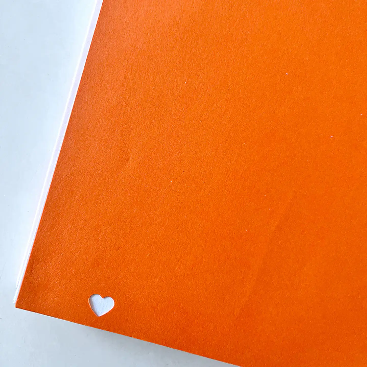 SWATCHES COLECCIÓN AGENDA  6