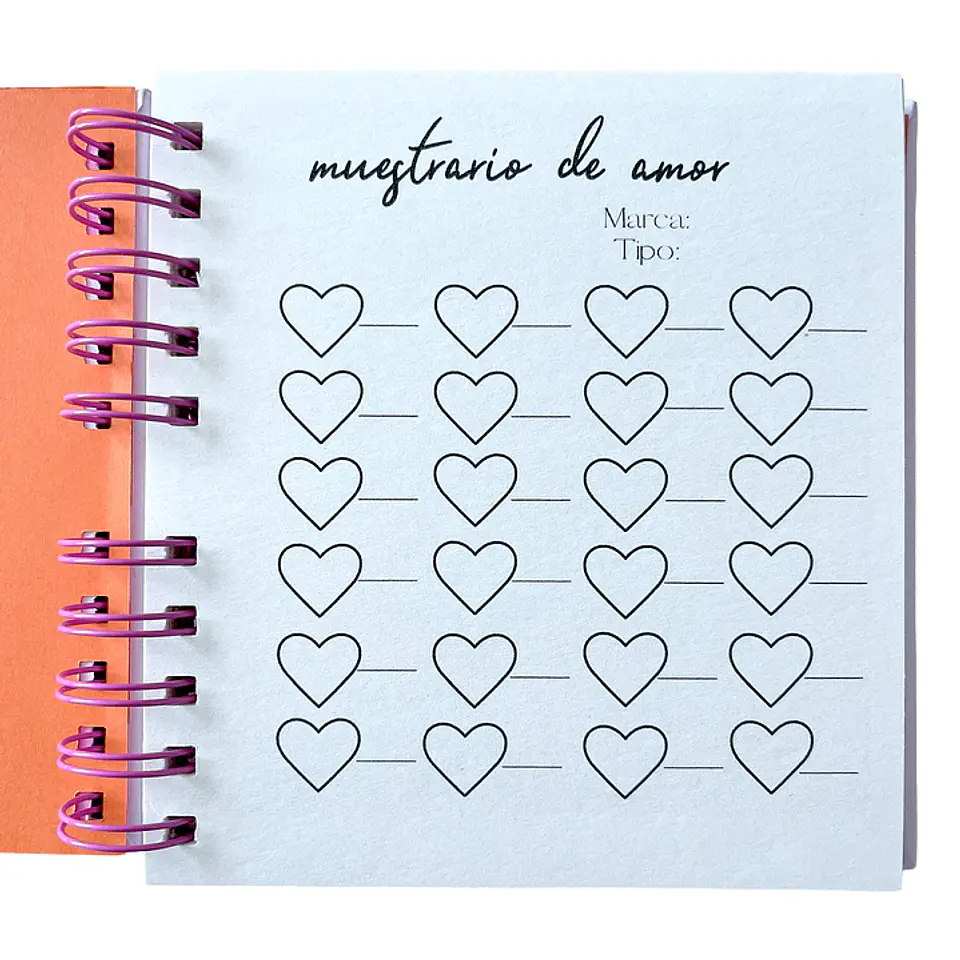 SWATCHES COLECCIÓN AGENDA  7