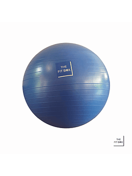 THE FIT BALL