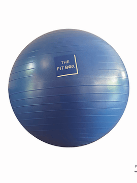 THE FIT BALL