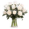 12 rosas blancas en florero