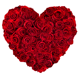 50 rosas en caja de corazón