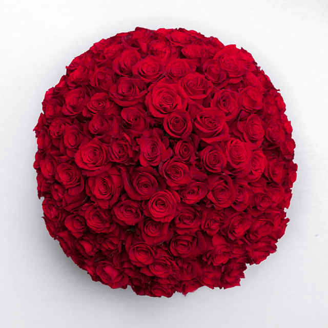 100 rosas rojas en florero