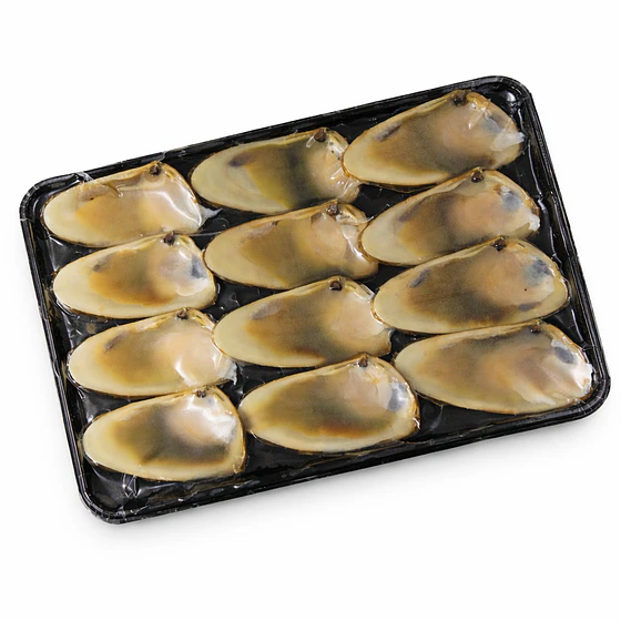 Macha mediana media concha 16 unidades 1