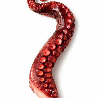 Tentáculo Pulpo Cocido  1