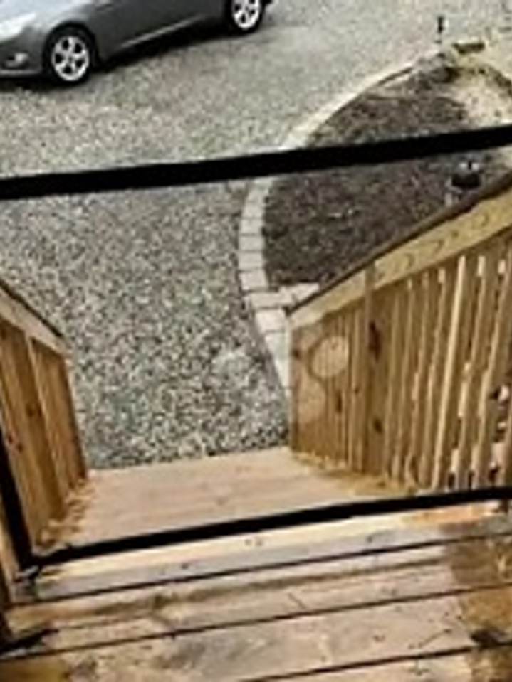 PUERTA DE SEGURIDAD PARA MASCOTASS  4