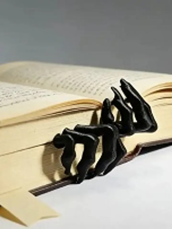 Separador de Libros Diseño Garras 4