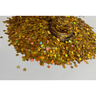 Glitter Formas Estrella dorada 2