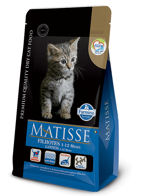 Matisse Gatitos