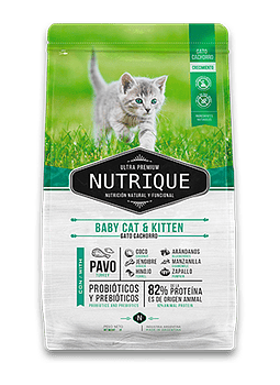 Nutrique Baby Cat & Kitten
