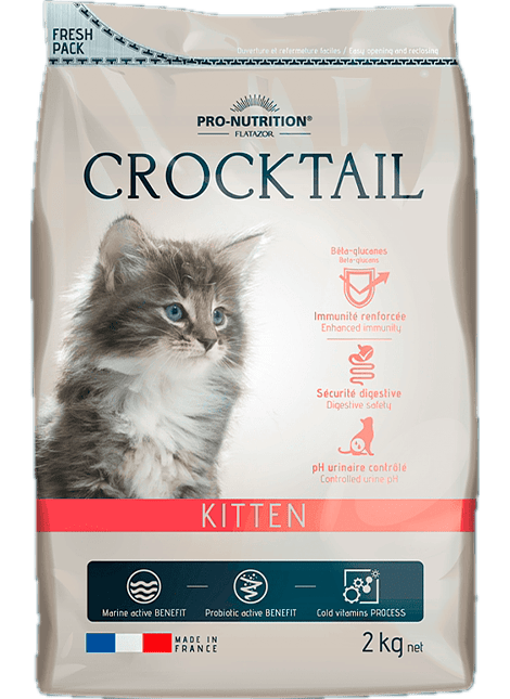 Crocktail Kitten