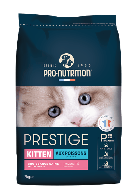 Prestige Kitten