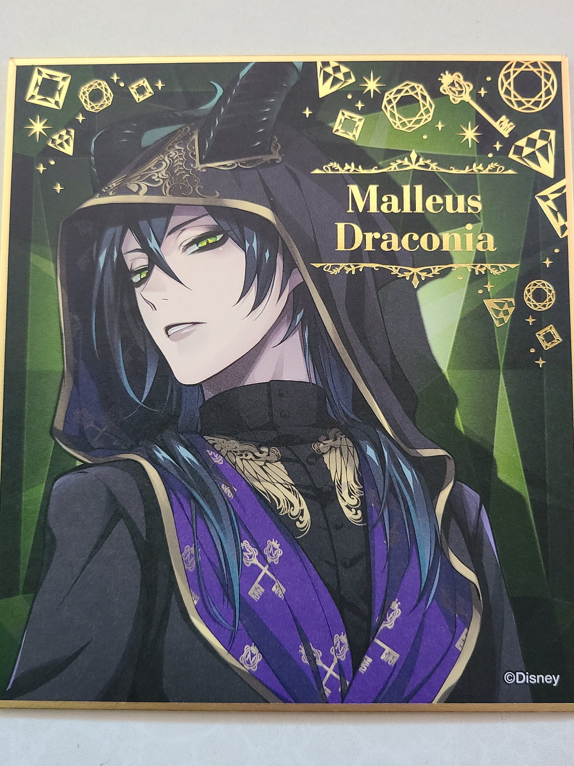 [Diasomnia] Malleus Draconia - Shikishi [Twisted Wonderland] 1