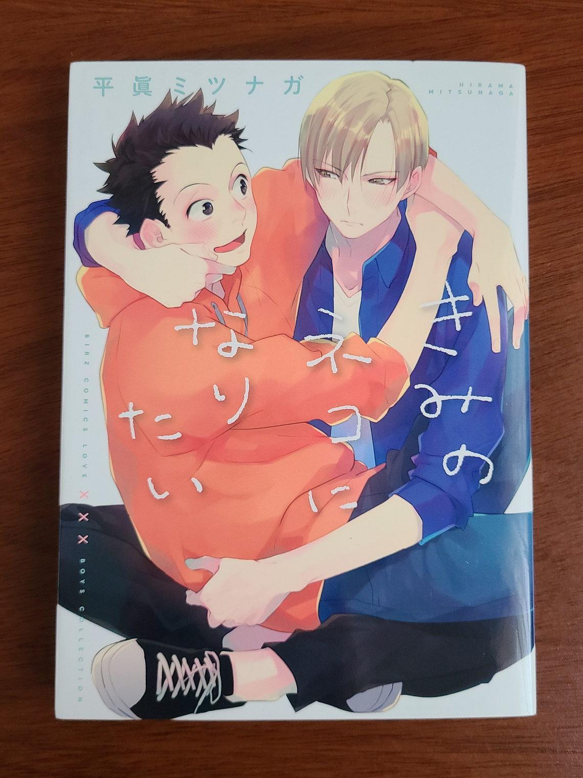 [Manga] KIMI NO NEKO NI NARITAI (Hirama Mitsunaga) [Yaoi] 1