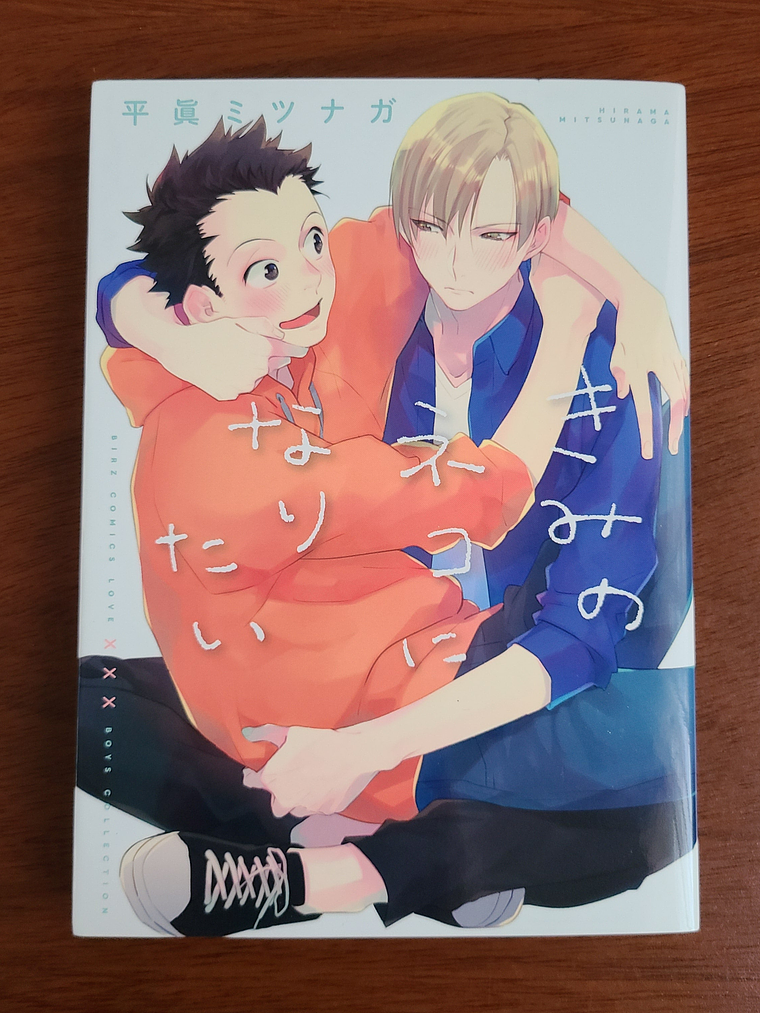 [Manga] KIMI NO NEKO NI NARITAI (Hirama Mitsunaga) [Yaoi] 1