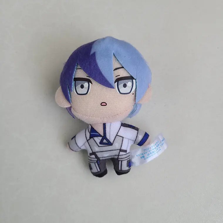 [Vivid Bad Squad] Toya Aoyagi - Peluche Petit Nui [Project Sekai] 1