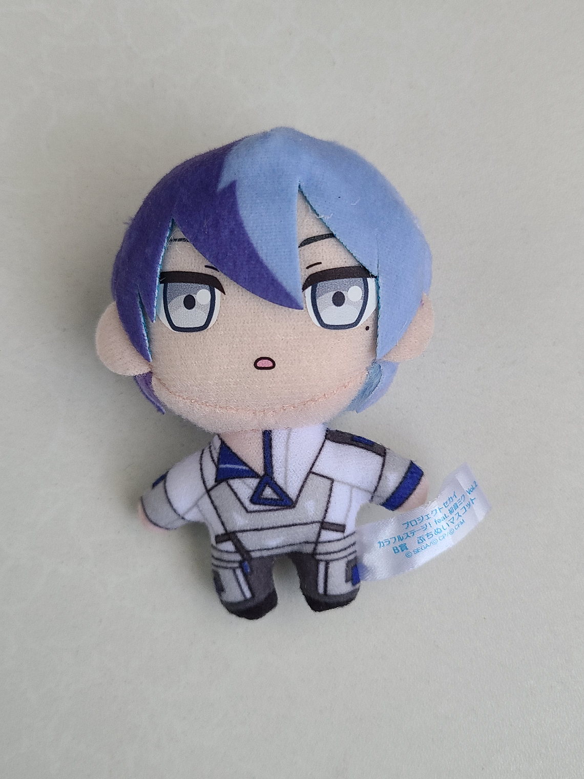 [Vivid Bad Squad] Toya Aoyagi - Peluche Petit Nui [Project Sekai] 1