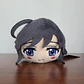 Hana Isuzu - Nesoberi Peluche (N) [Girls und Panzer] - thumbnail 1
