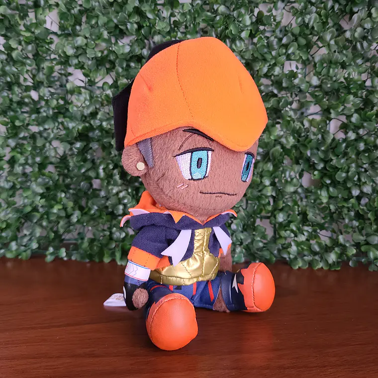 Raihan - Peluche Pokemon Center Limited [Pokemon] 1