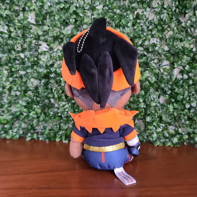 Raihan - Peluche Pokemon Center Limited [Pokemon] 2