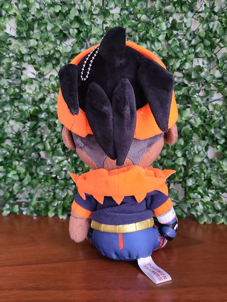 Raihan - Peluche Pokemon Center Limited [Pokemon] 2