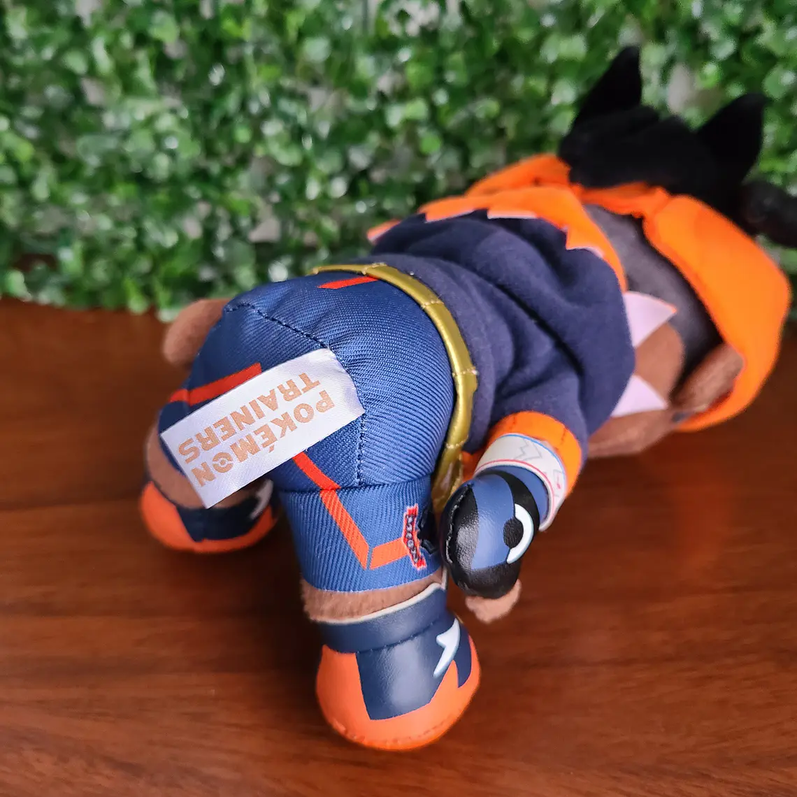 Raihan - Peluche Pokemon Center Limited [Pokemon] 3