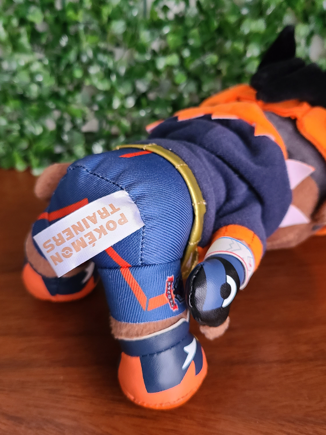 Raihan - Peluche Pokemon Center Limited [Pokemon] 3