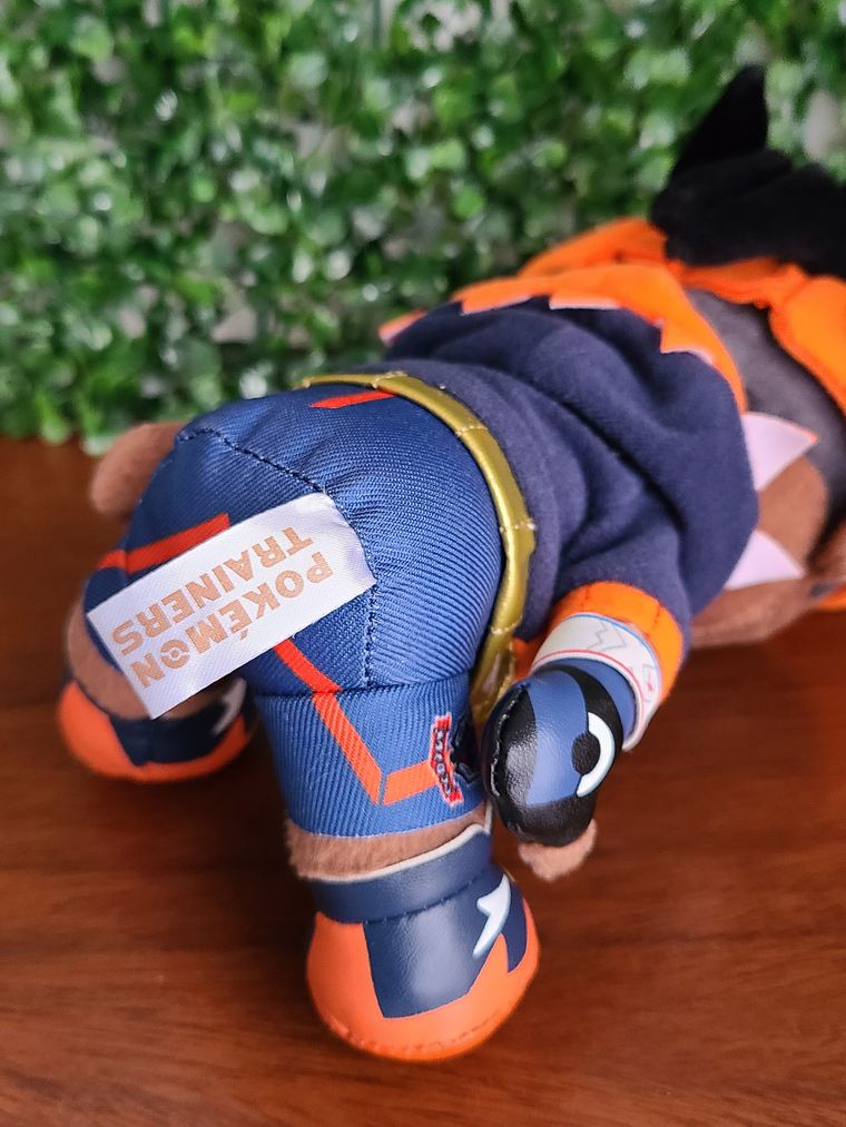 Raihan - Peluche Pokemon Center Limited [Pokemon] 3