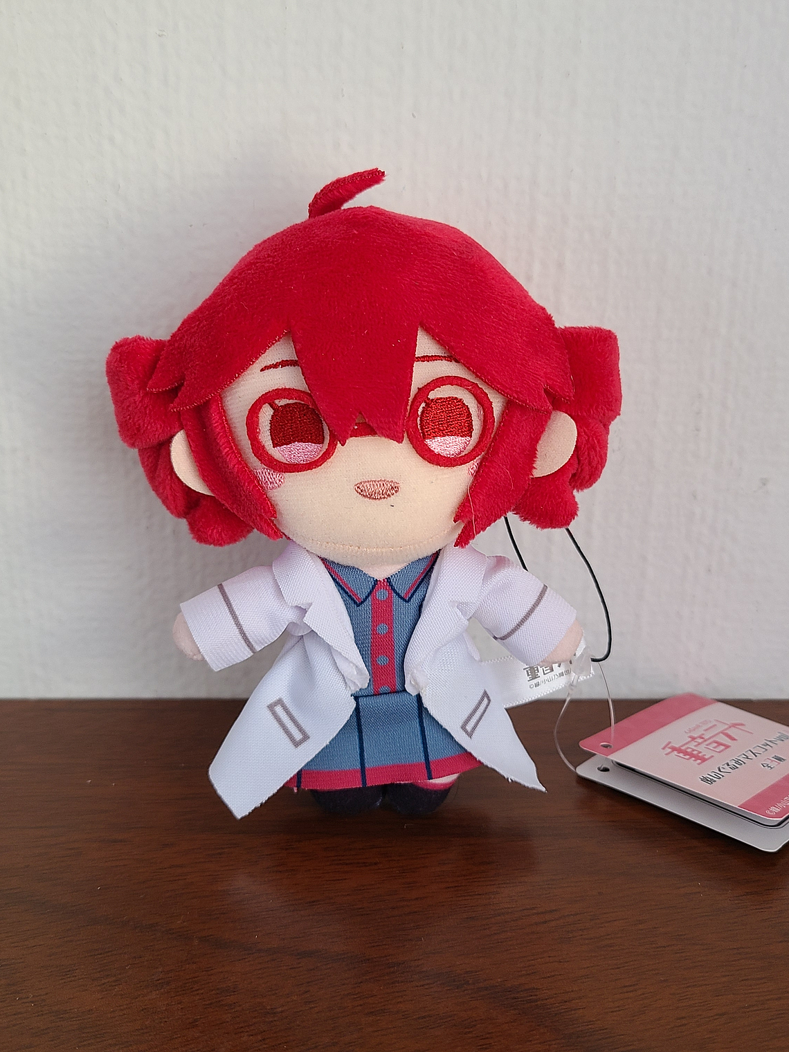 Kasane Teto - Peluche Tomonui [Vocaloid] 1