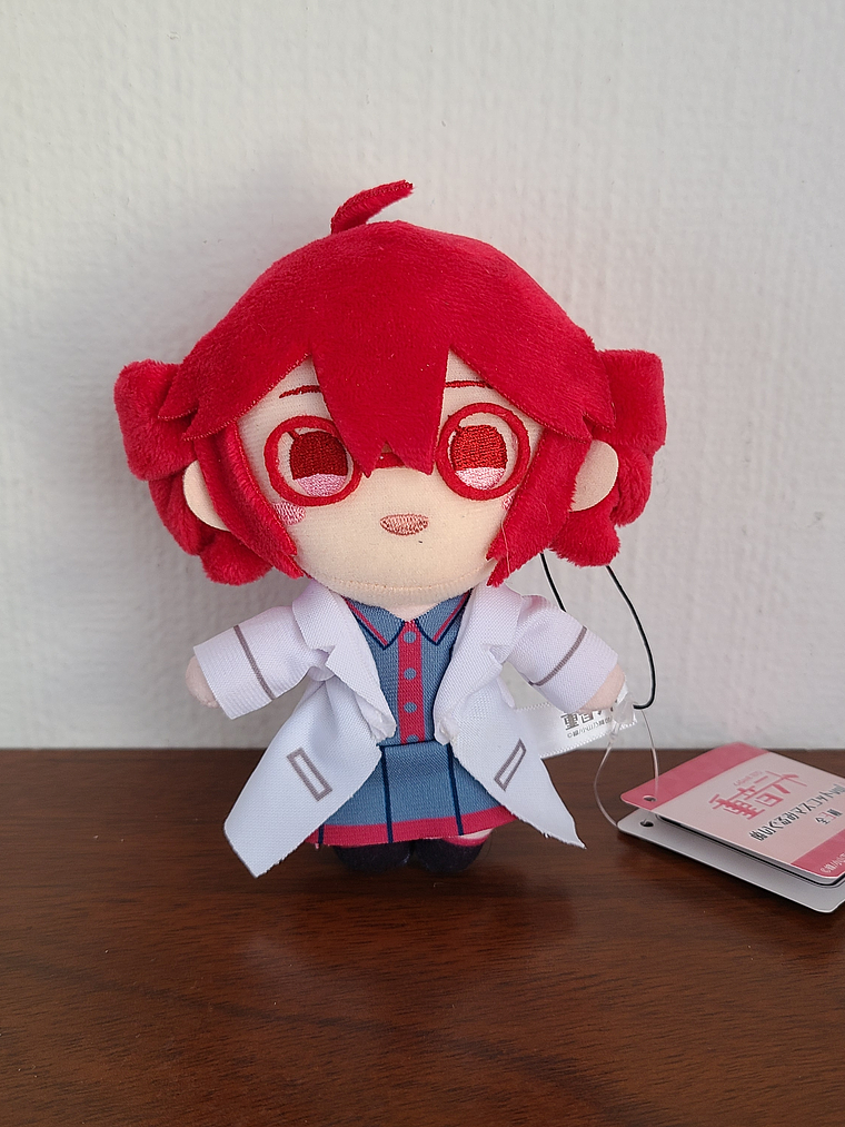 Kasane Teto - Peluche Tomonui [Vocaloid] 1