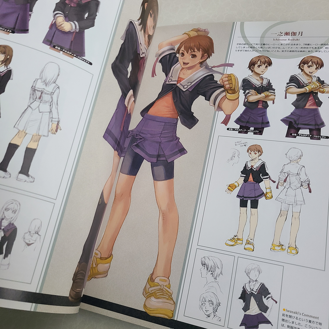 [Artbook] MINAKO IWASAKI TENSHOUGAKUEN ARTWORKS 2