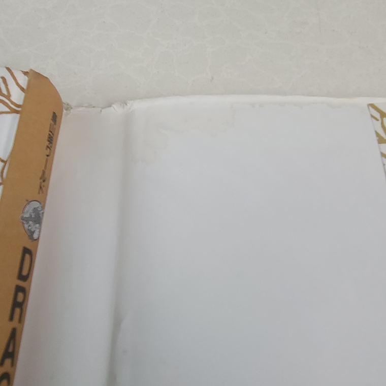 [Artbook] DRAGON BALL DAIZENSHU 2 