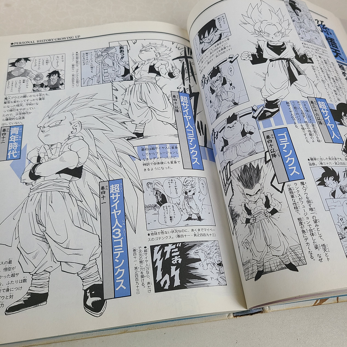 [Artbook] DRAGON BALL DAIZENSHU 2 