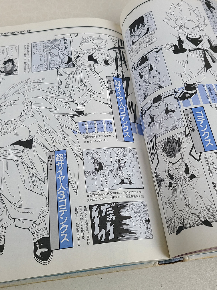 [Artbook] DRAGON BALL DAIZENSHU 2 