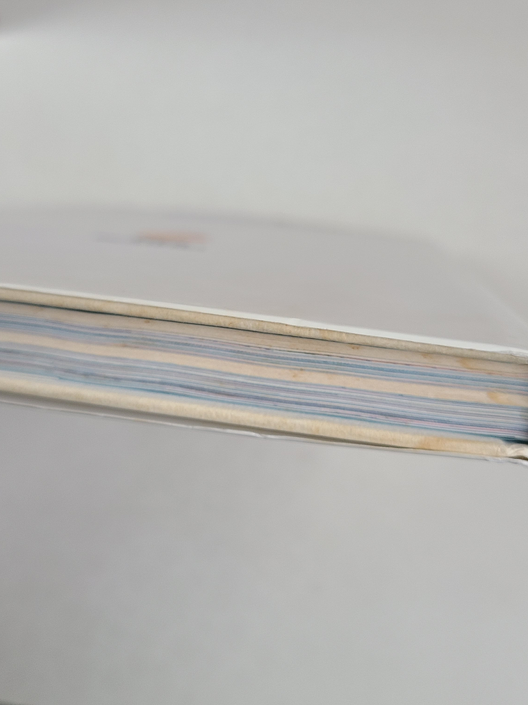 [Artbook] DRAGON BALL DAIZENSHU 5 