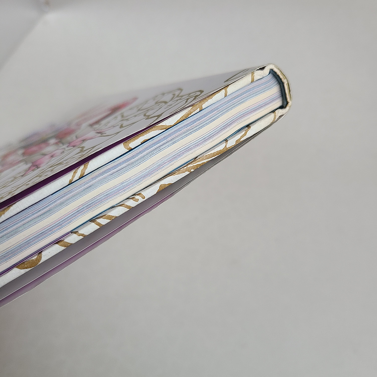 [Artbook] DRAGON BALL DAIZENSHU 5 