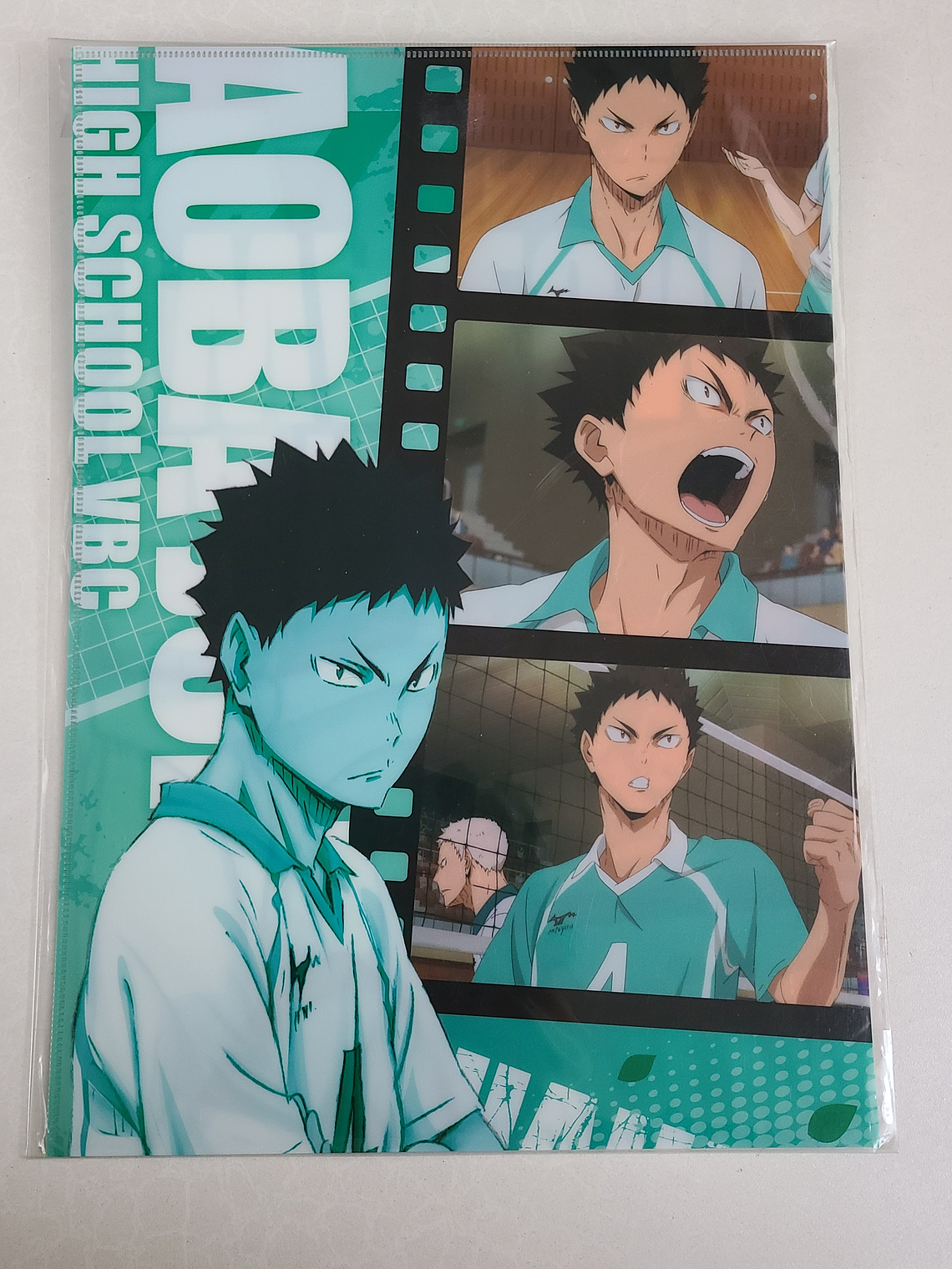 [Aoba Johsai] Hajime Iwaizumi - Long Holder [Haikyuu] 1