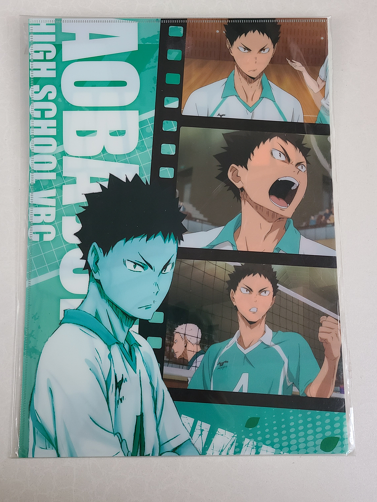 [Aoba Johsai] Hajime Iwaizumi - Long Holder [Haikyuu] 1