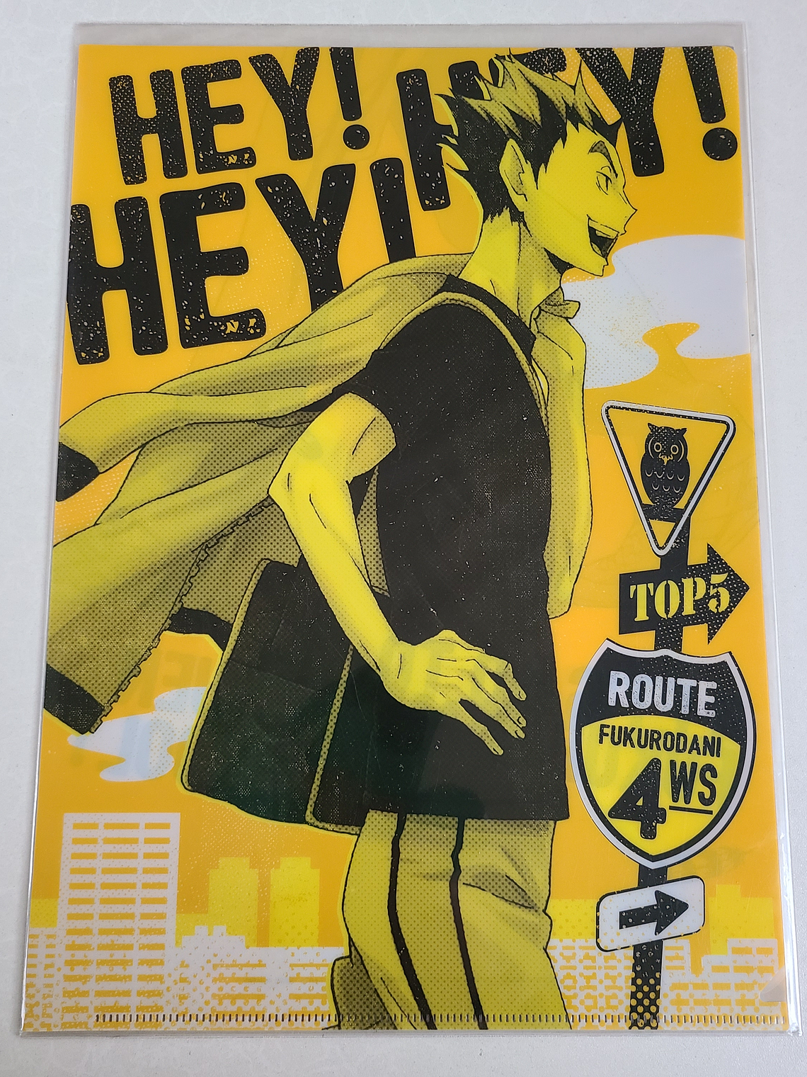 [Fukurodani] Bokuto & Akaashi - Set de carpetas [Haikyuu] 2