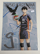 [Karasuno] Tobio Kageyama - Carpeta single [Haikyuu] - Miniatura 1