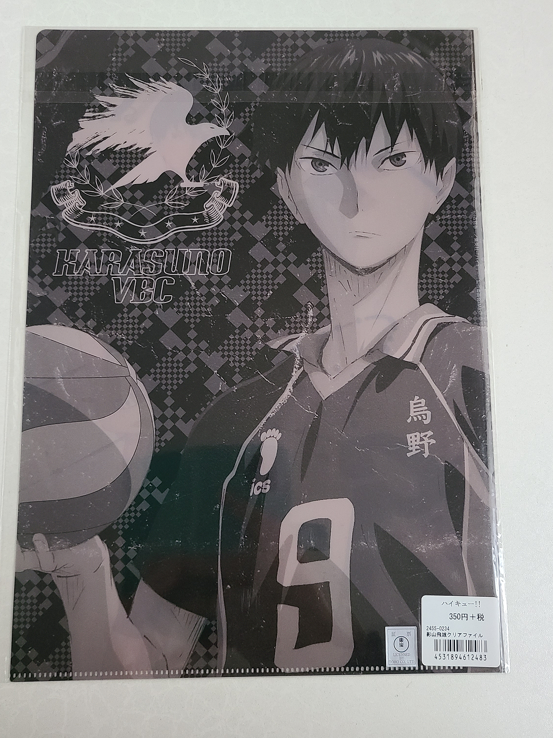 [Karasuno] Tobio Kageyama - Carpeta single [Haikyuu] 2