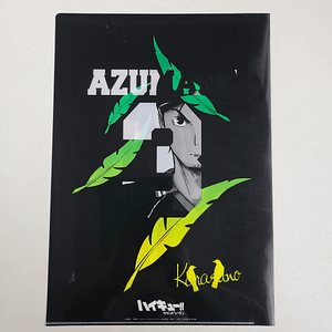 [Karasuno] Azumane Asahi - Carpeta single [Haikyuu]
