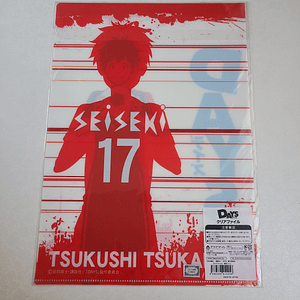 Tsukushi Tsukamoto - Carpeta single [Days]