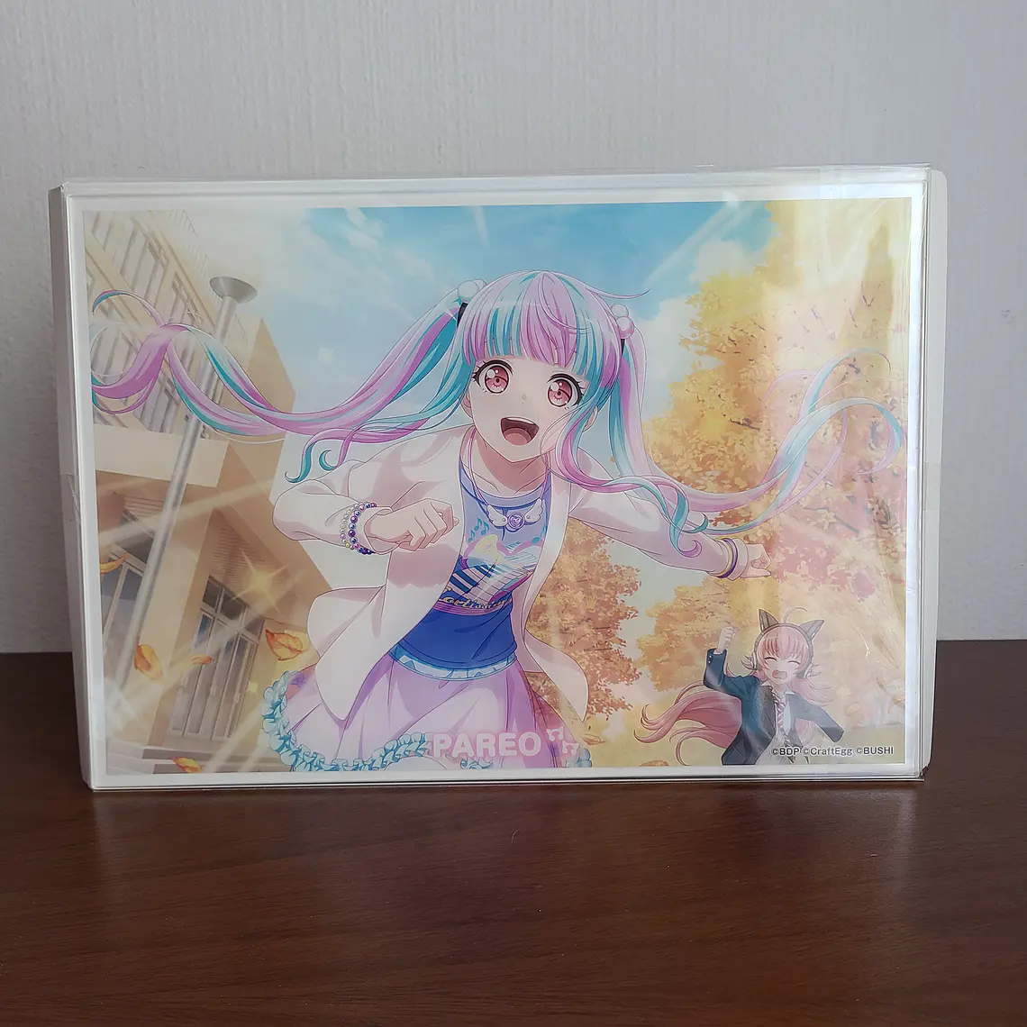 [Raise a Suilen] Nyubara Reona (PAREO) - Cuadro acrilico [Bang Dream] 2