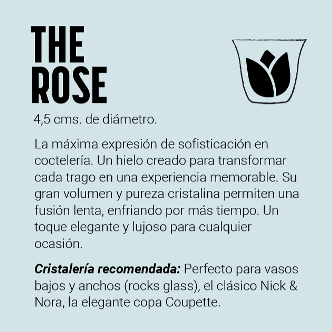 The Roses - 15 unidades 5