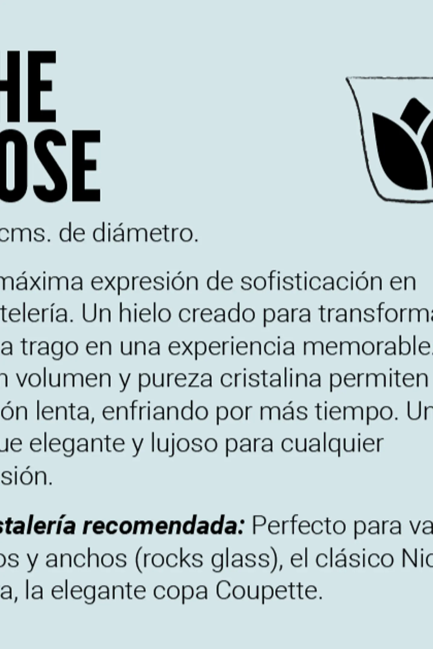 The Roses - 15 unidades 4