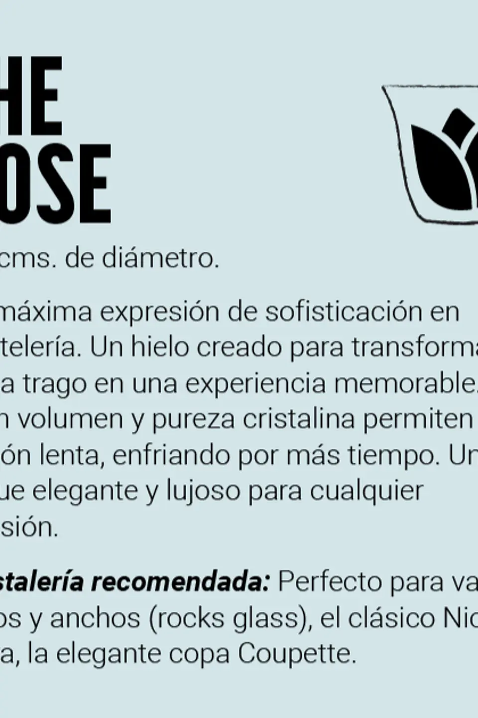 The Roses - 15 unidades 4