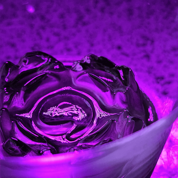 The Roses - 15 unidades 4