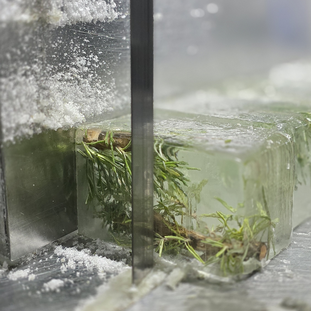 The XMAS cube (15 unidades) 3