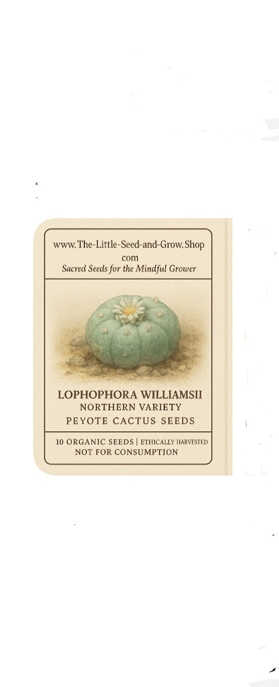Lophophora williamsi (peyote) seeds x50